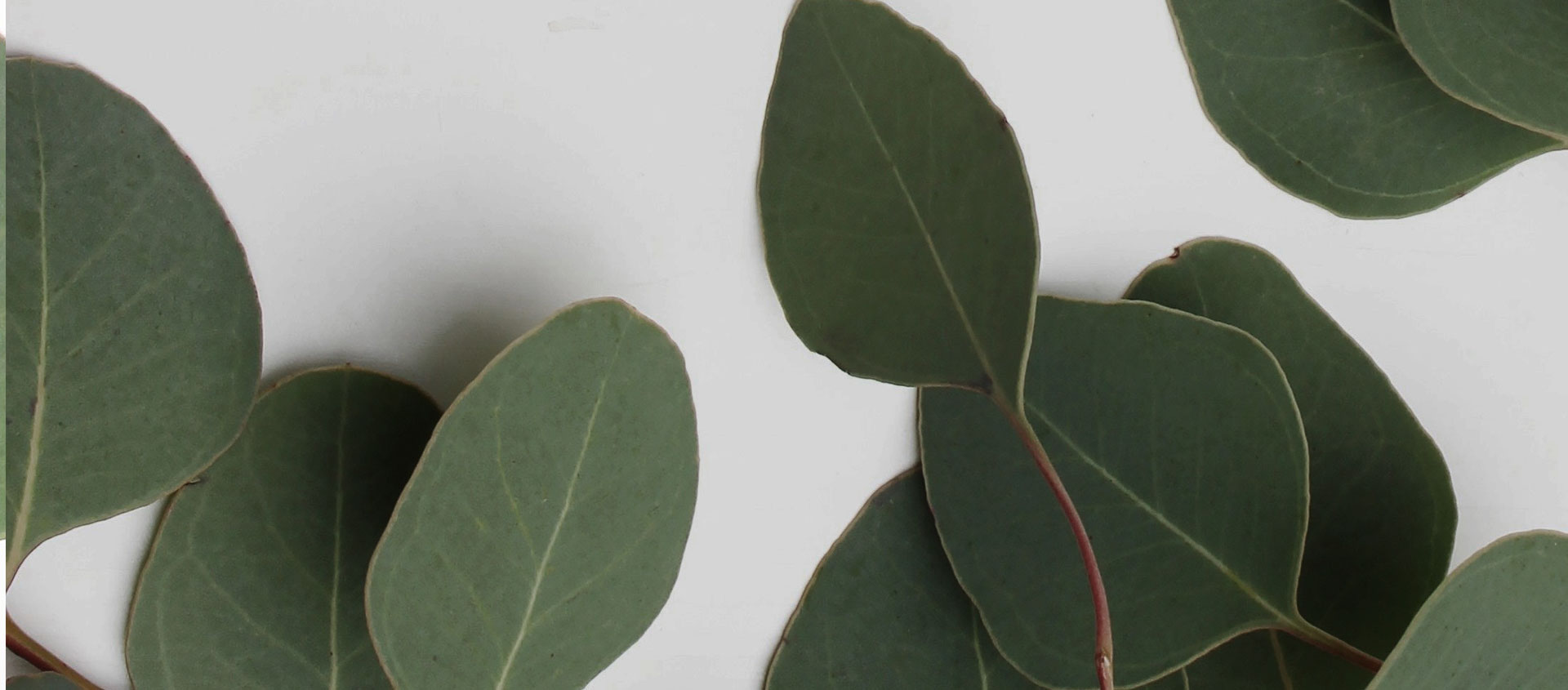 Взыскание ущерба от экологических правонарушений в Намцах