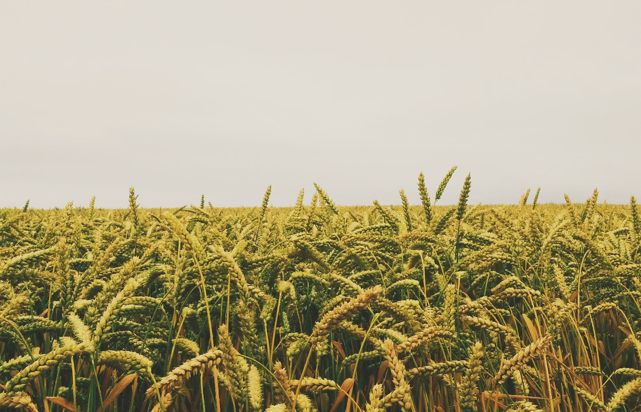 Юрист по земельным спорам в Намцах. Услуги земельного юриста.